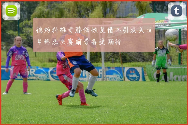 德约科维奇膝伤恢复情况引发关注年终总决赛前景备受期待